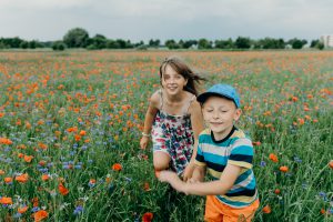 sesje na polu makowym